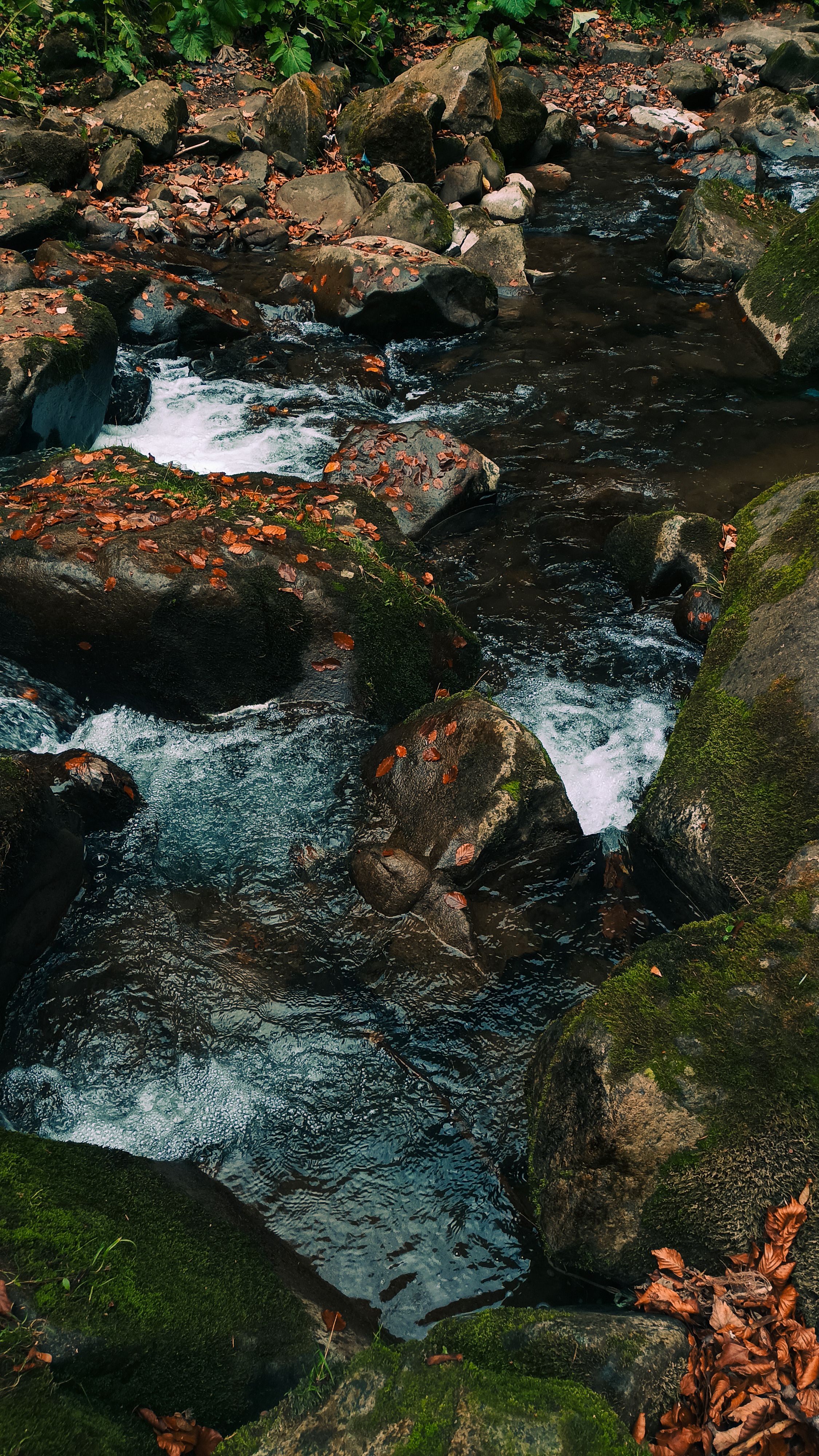 Peaceful stream with mossy rocks and autumn leaves in Kam'yanka, Ukraine.