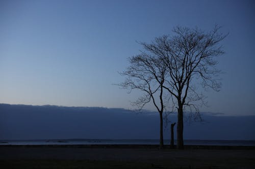 地平線, 岸邊, 晚間 的 免費圖庫相片