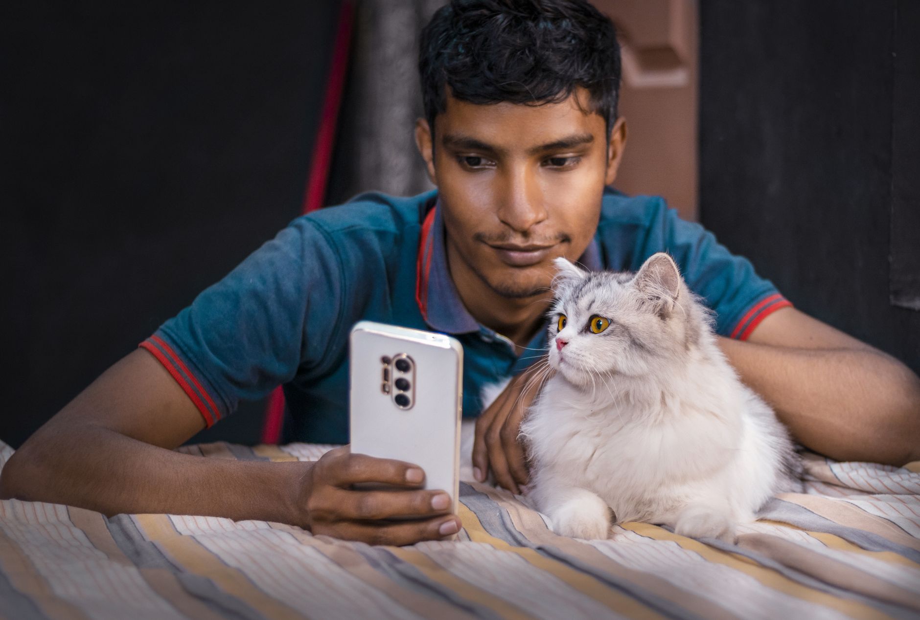 AI May Soon Facilitate Human-Animal Communication
