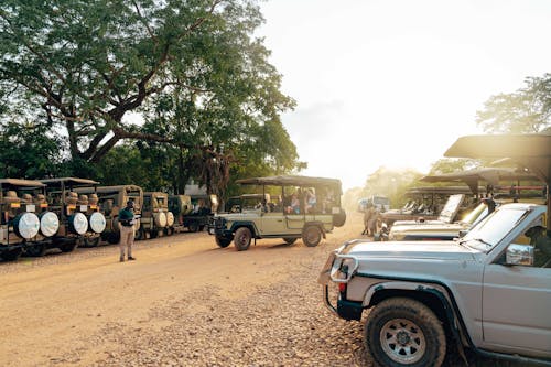 4x4 Cars Parked by Dirt Road