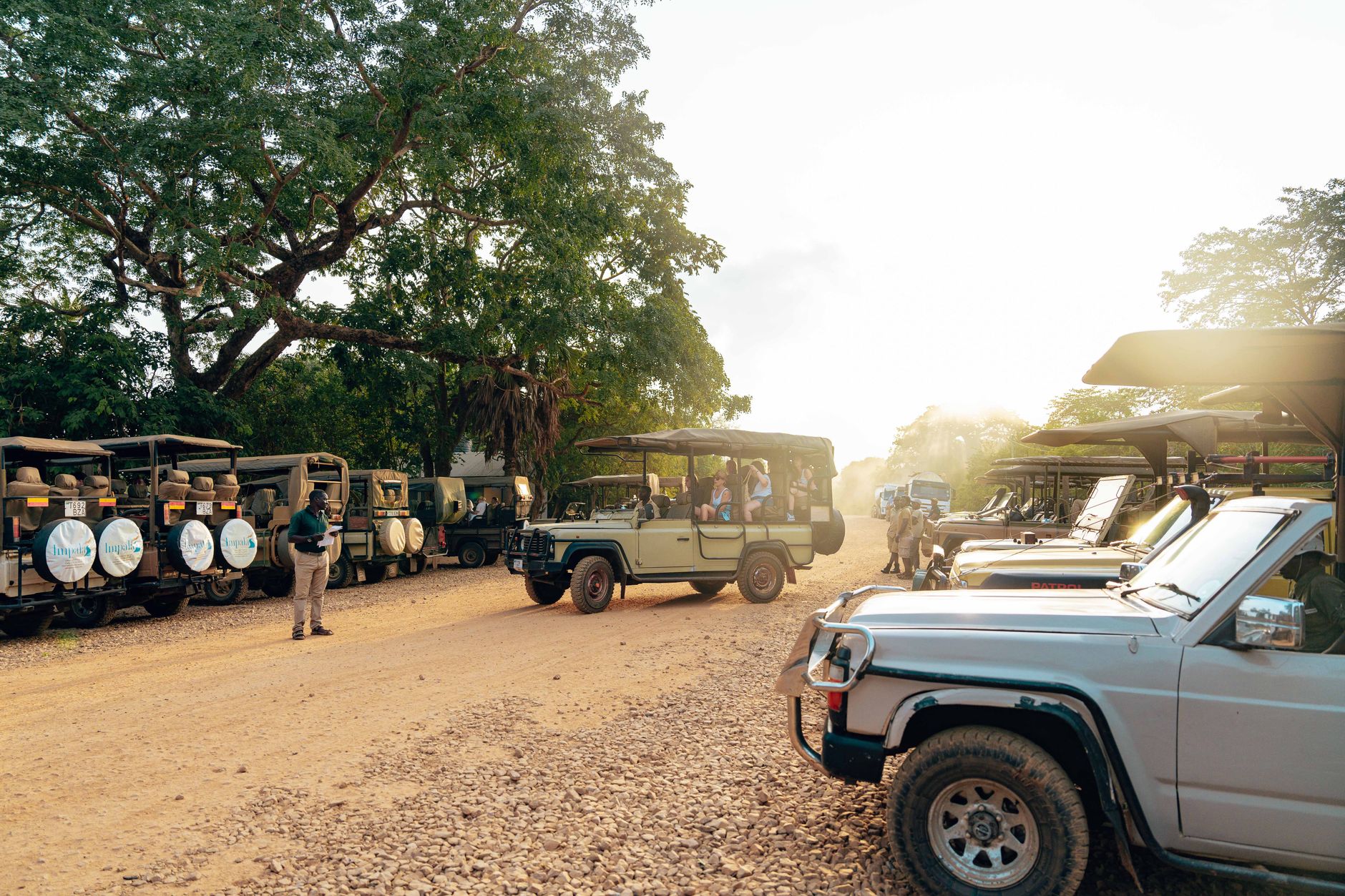 A scenic safari experience showcasing parked jeeps under sunlight on a dirt road with lush trees.