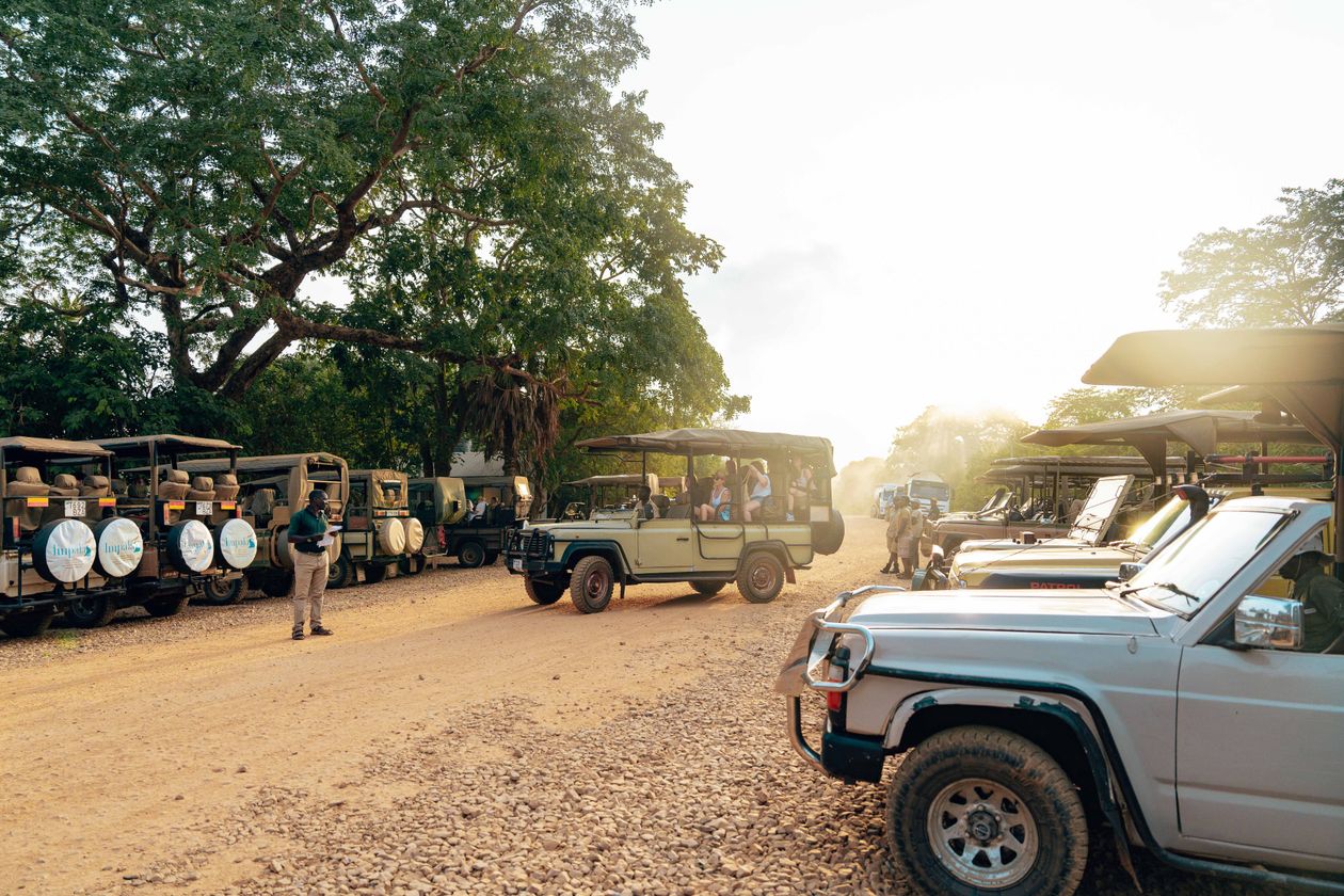 Jeeps parked under canopy light