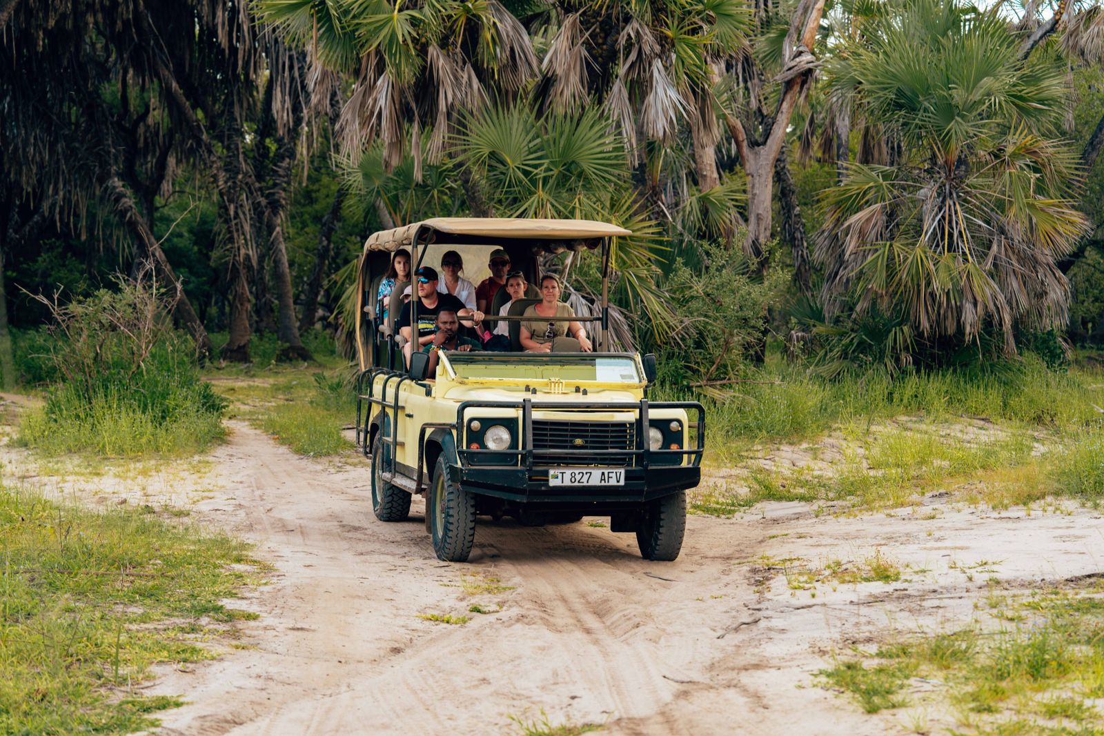 Guests on a guided game drive in a safari vehicle, the safest way to be among wildlife