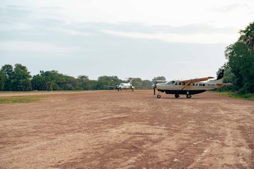 Airplanes on Safari Airport 