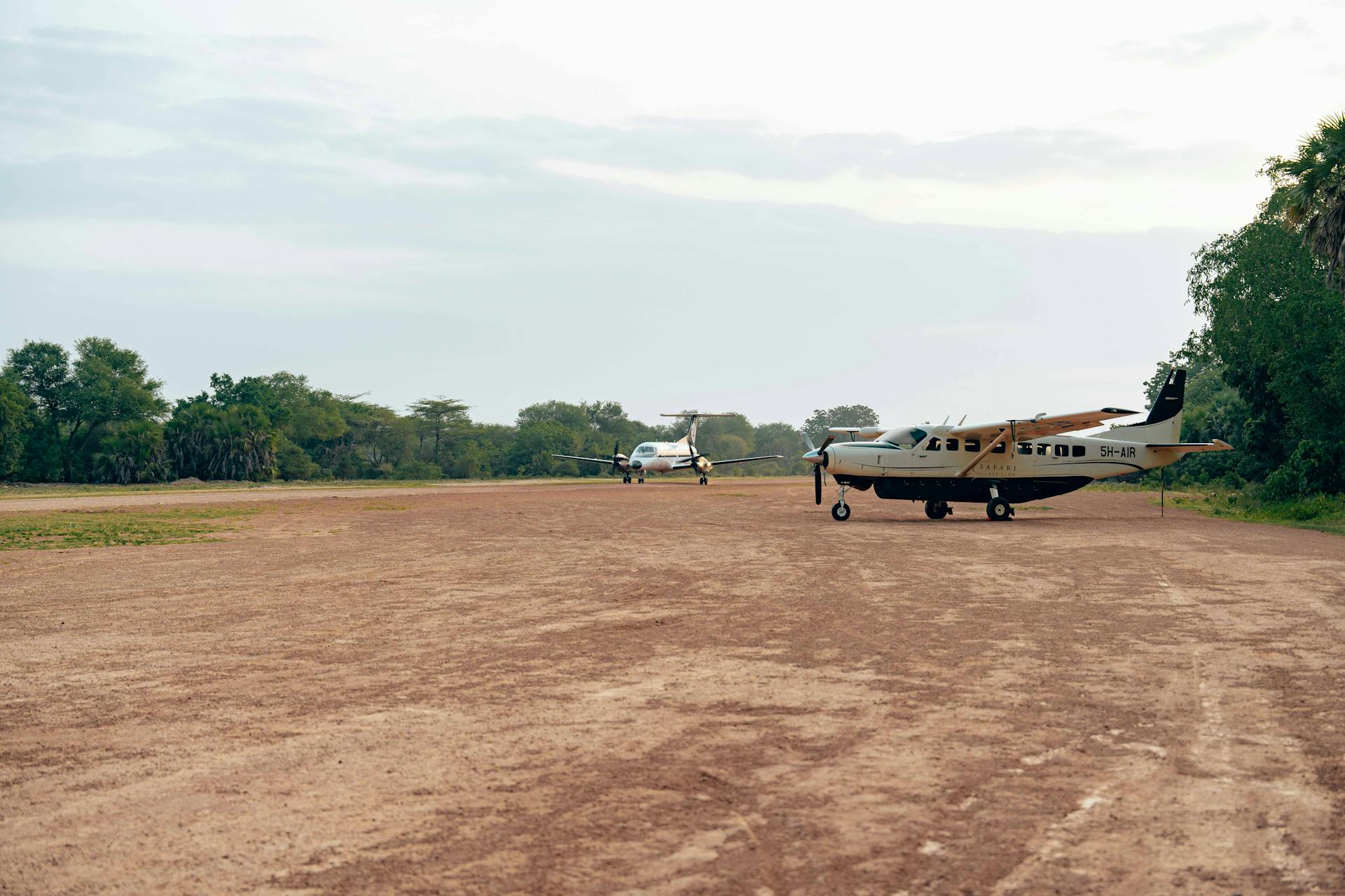 Private planes parked on a dirt airstrip surrounded by lush greenery, set in a serene landscape.