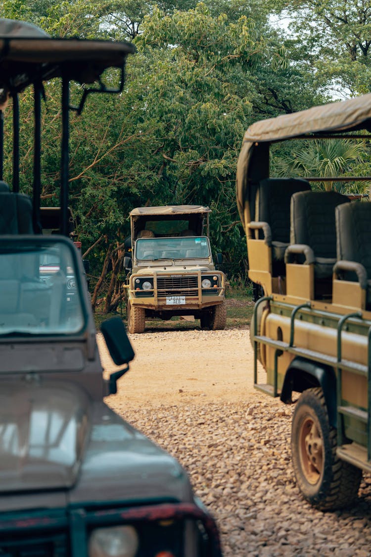 Safari Vehicles Parked On A Field 