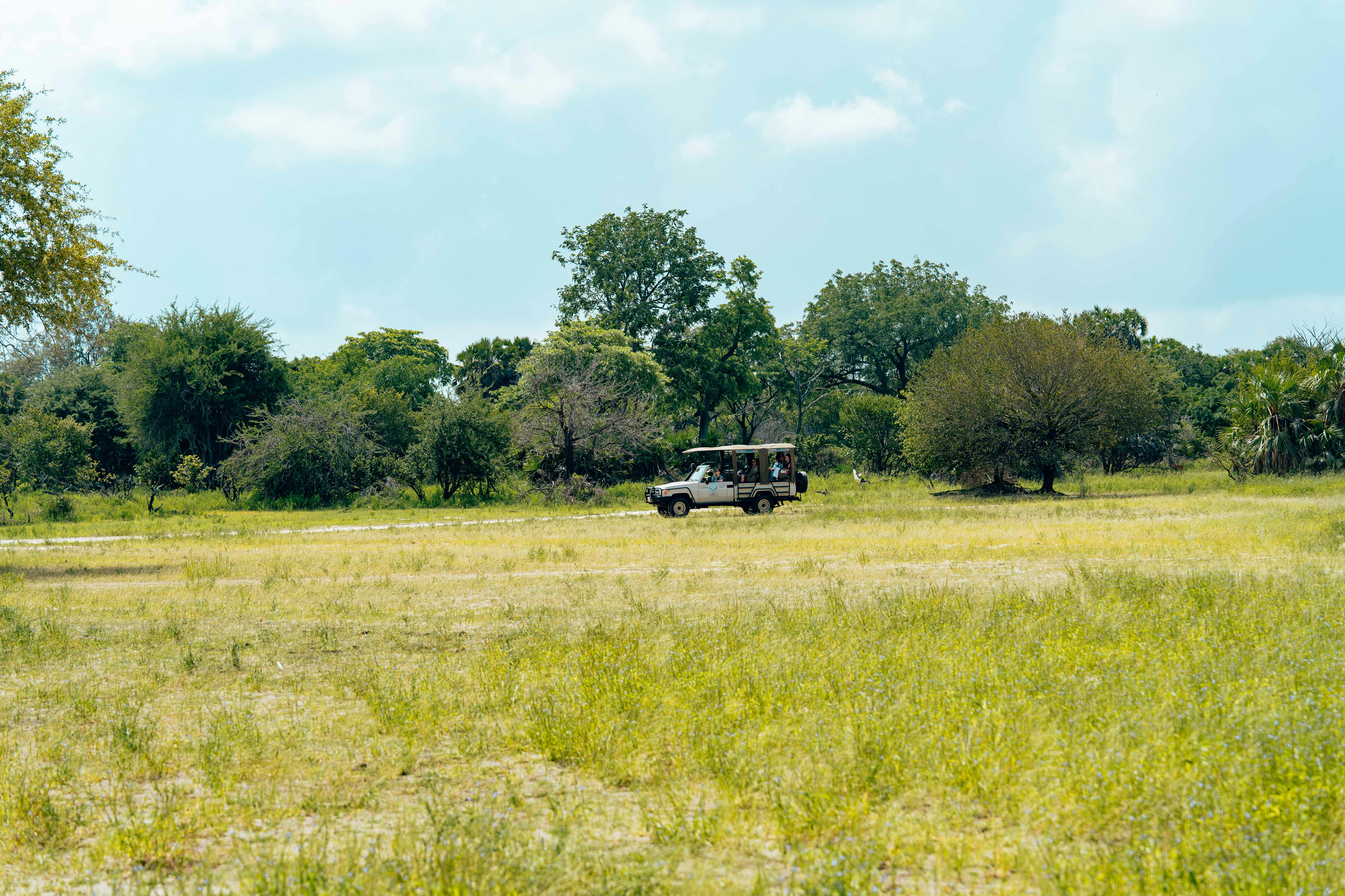 Wild Expeditions: Exploring Uncharted Terrains for Adventure and Discovery