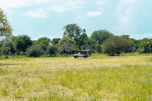 A Safari Vehicle Riding through a Field 