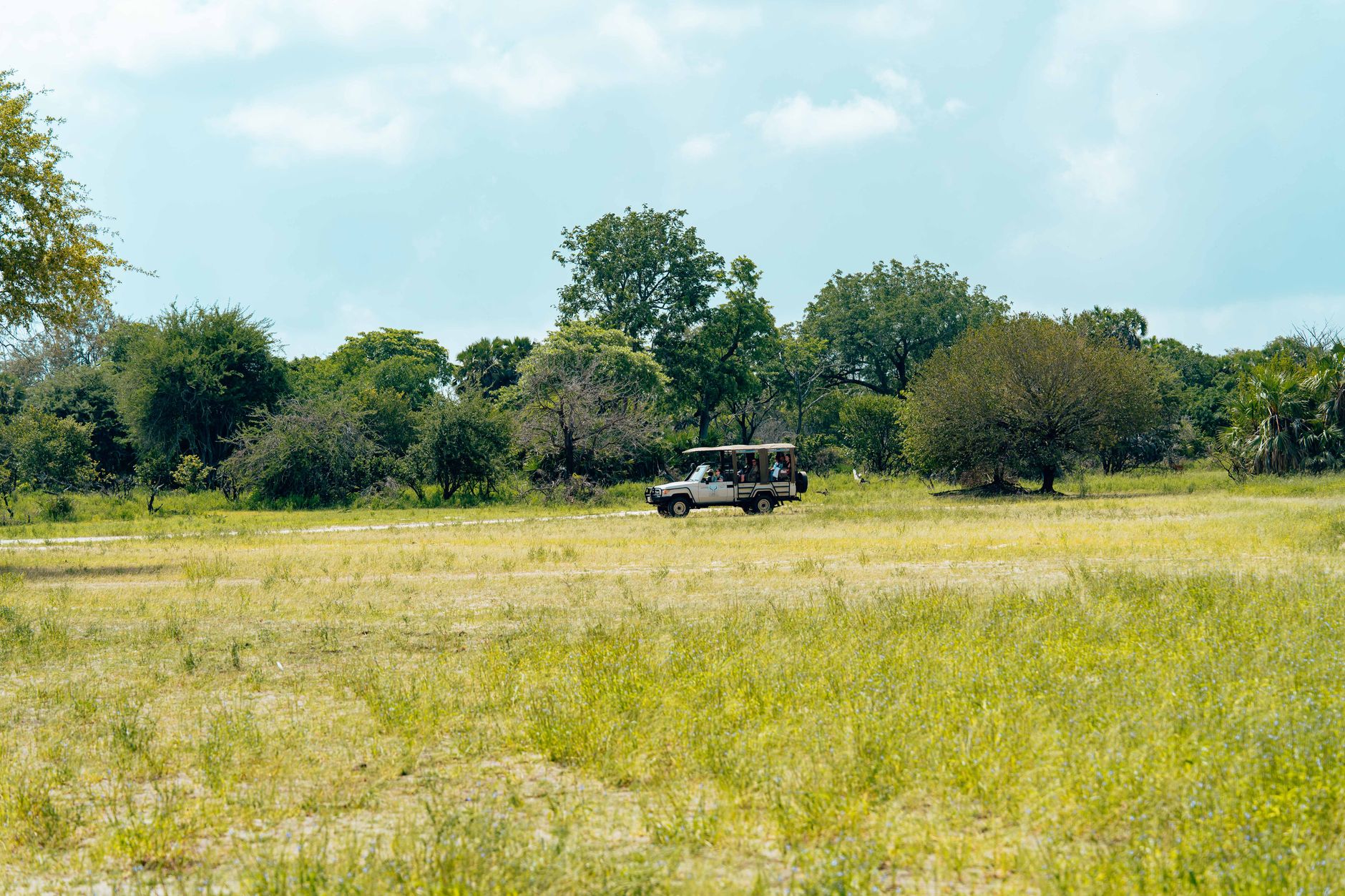 Private Zimbabwe Safari vs Group Tour Cost: A 2027 Guide