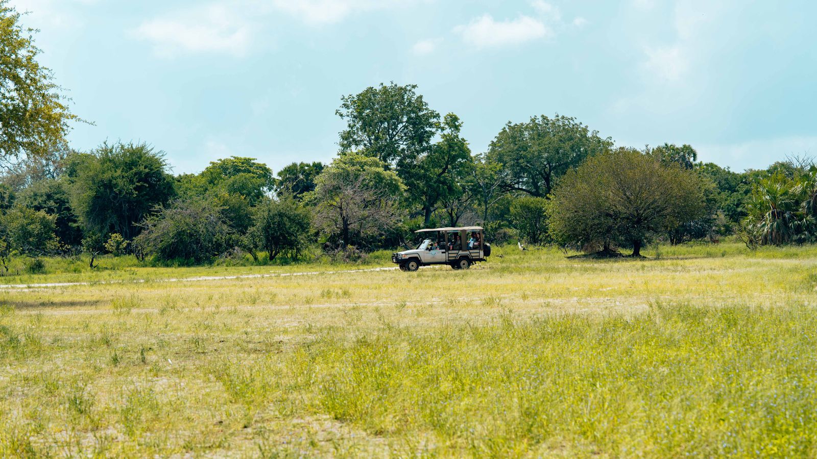 A safari vehicle riding through a field, Zambia