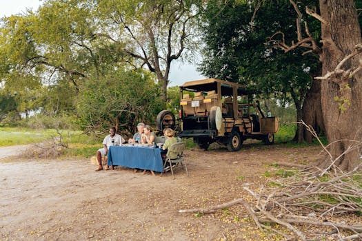 Group of adults enjoying an outdoor dining experience by a safari vehicle in rural summer setting.