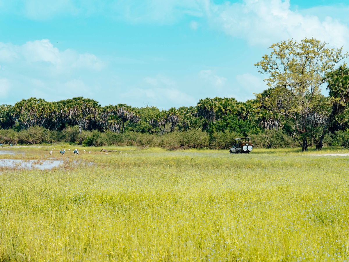 11 Day Yoga, Culture & Wildlife Retreat in Tanzania 3