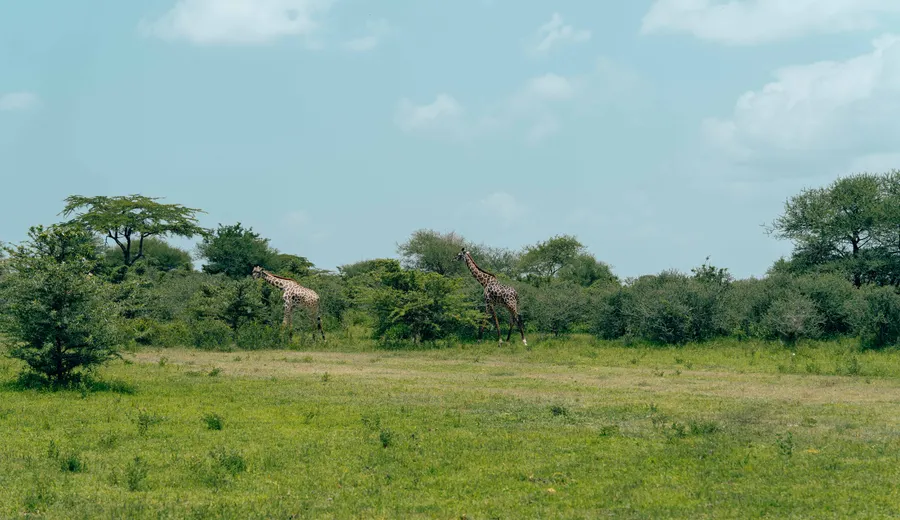 Jour 3 à Saly