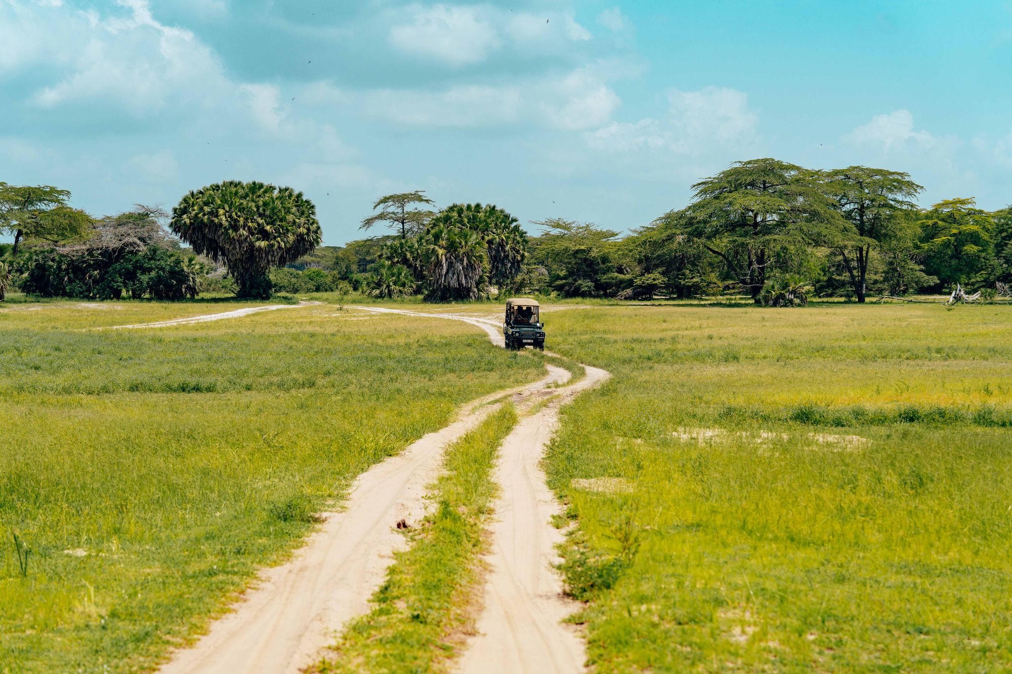 Safari vehicle following a winding track through open grassland