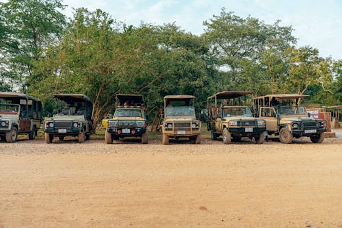 4x4 Cars Parked on Dirt Road