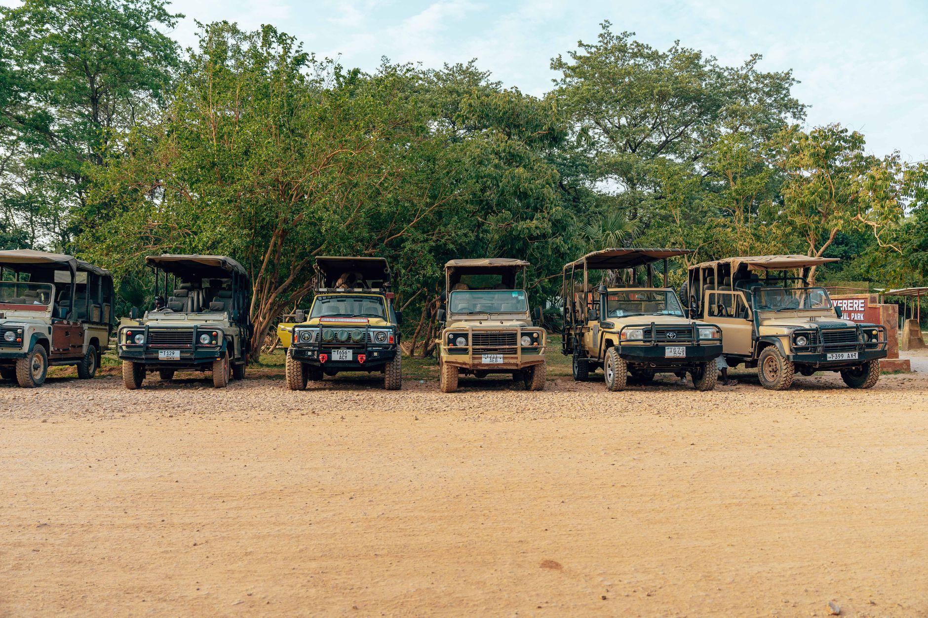 Row of parked SUVs on a dirt road surrounded by lush greenery.