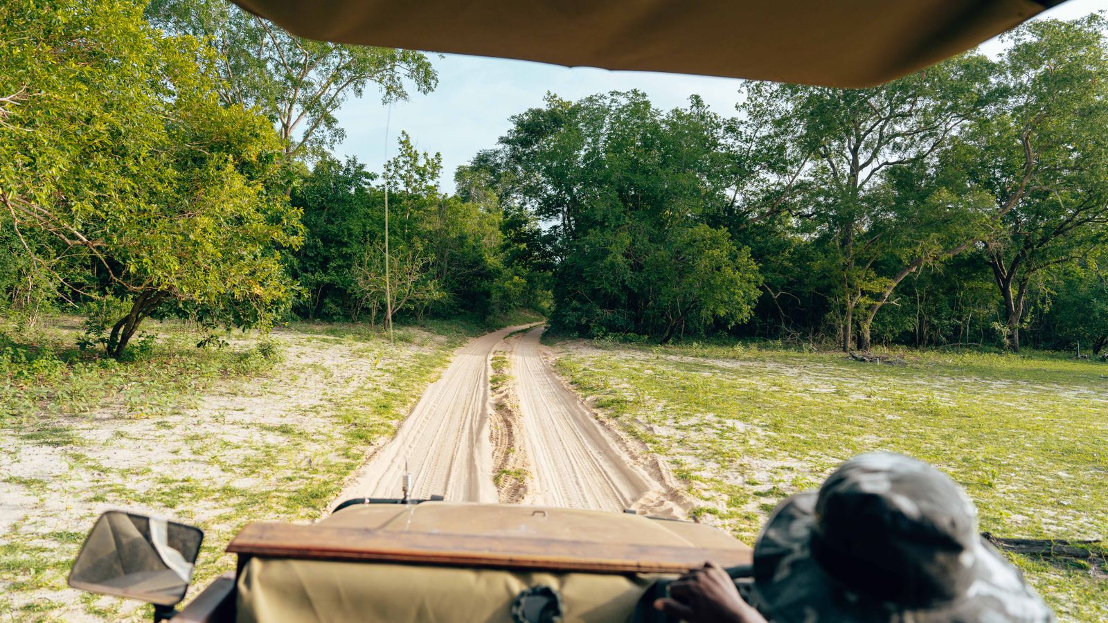 A road on safari seen from a safari vehicle, Senegal