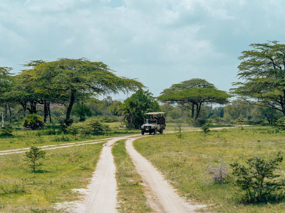 11 Day Thyroid Wellness Retreat in Zanzibar, Tanzania 1