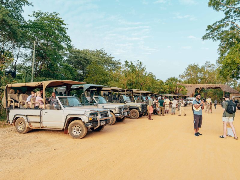 Ultimate Wildlife Photographer Trail package for tiger photography safaris