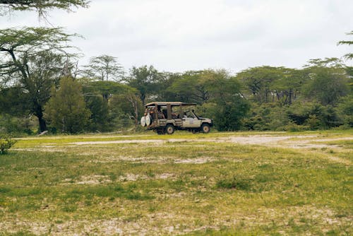 A Safari Vehicle on a Grass Field 