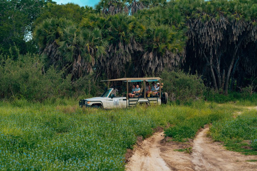 Family on safari vehicle in Tanzania laughing together