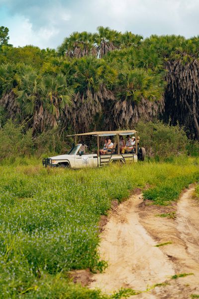 Naturalist-guided gypsy safari