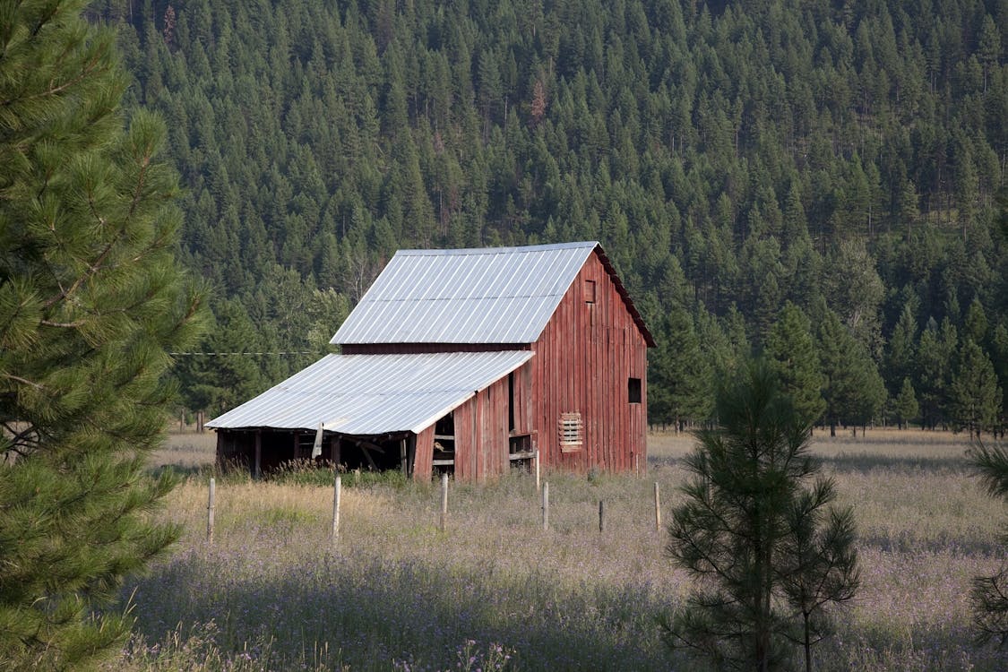 Red Barn near a Forest