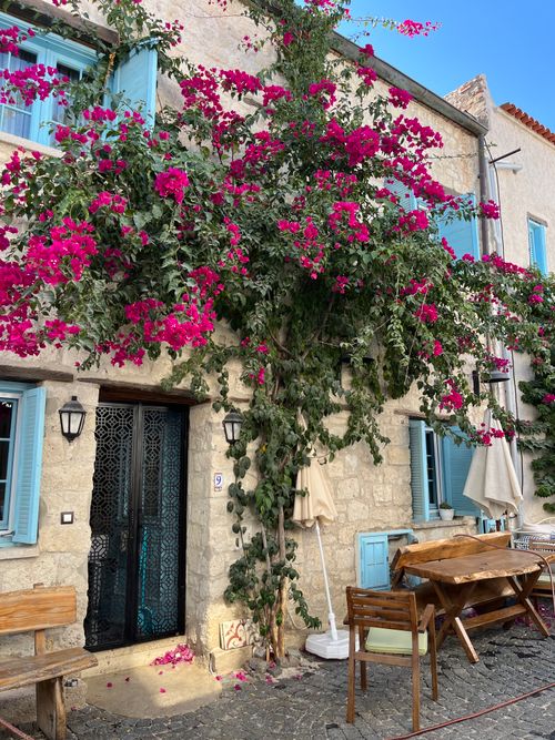 Free Colorful bougainvillea blooms against stone facades in Alaçatı, Türkiye. Stock Photo