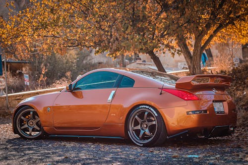 Nissan 350Z Parked under an Autumn Tree