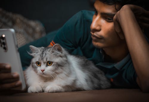 Kostenloses Stock Foto zu augen, flaumig, freizeit