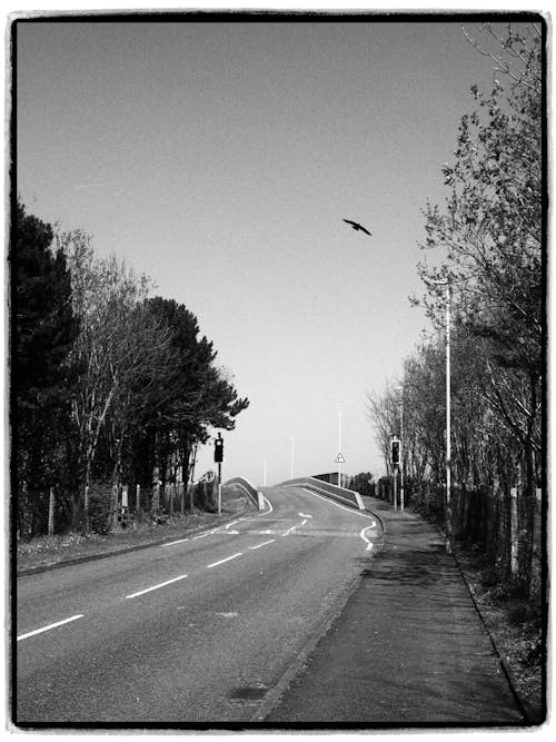 Kostenloses Stock Foto zu analoge fotografie, asphalt, bürgersteig