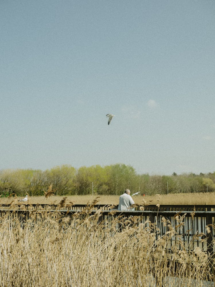 Man Standing On A Footbridge Over A River