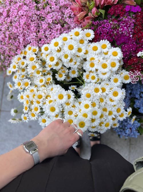 bereket, Çiçekler, dikey atış içeren Ücretsiz stok fotoğraf
