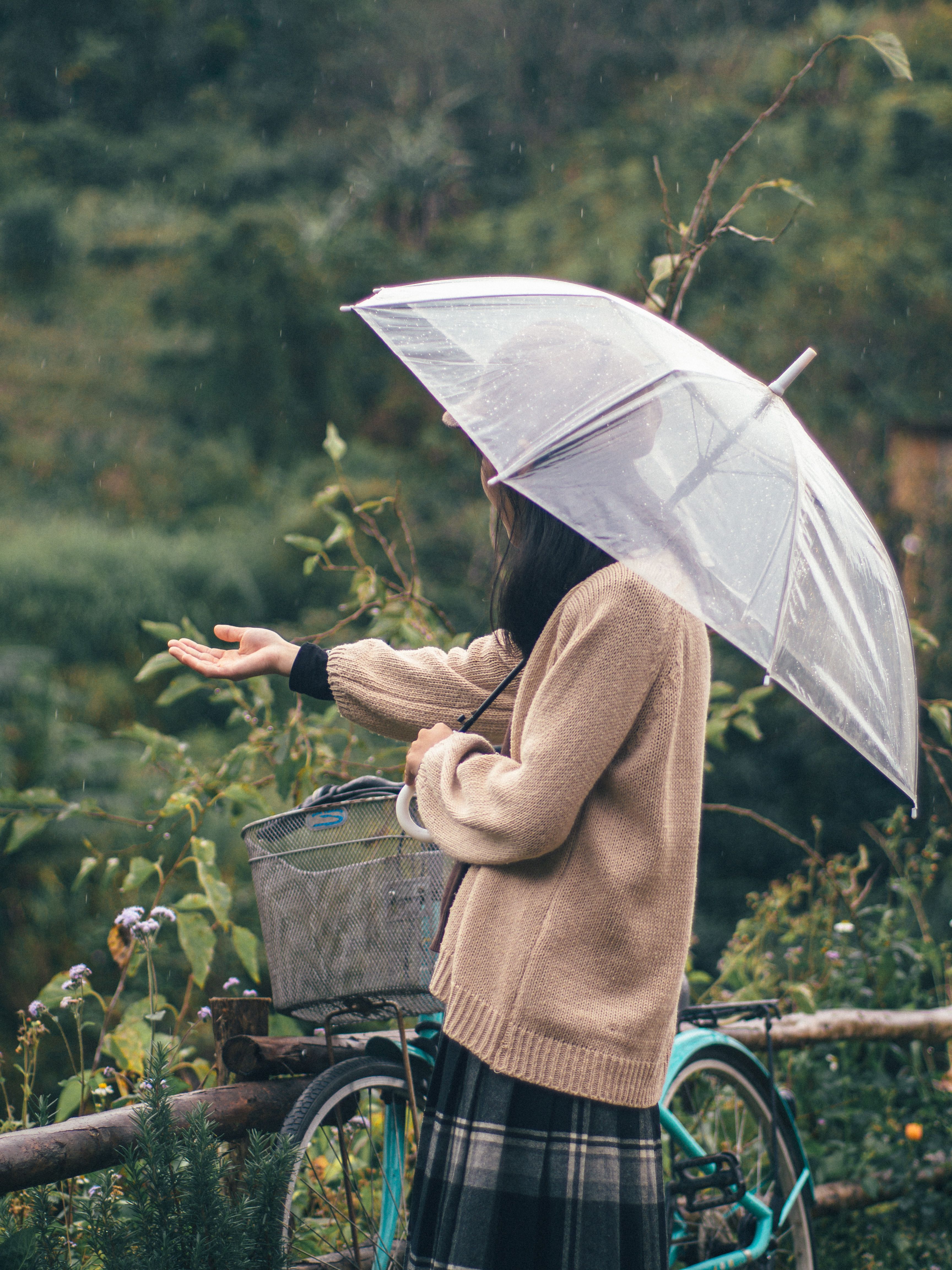 Woman Standing with Transparent Umbrella · Free Stock Photo