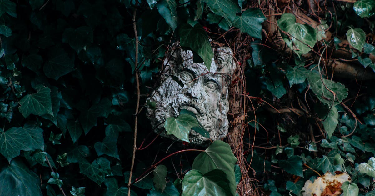 The Salt and the Stain 1 image text