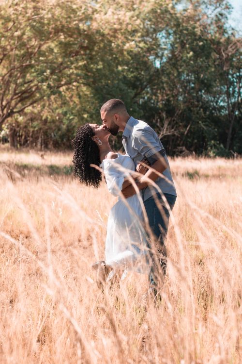 Free A couple sharing a tender moment in a sunlit meadow surrounded by tall grasses. Stock Photo