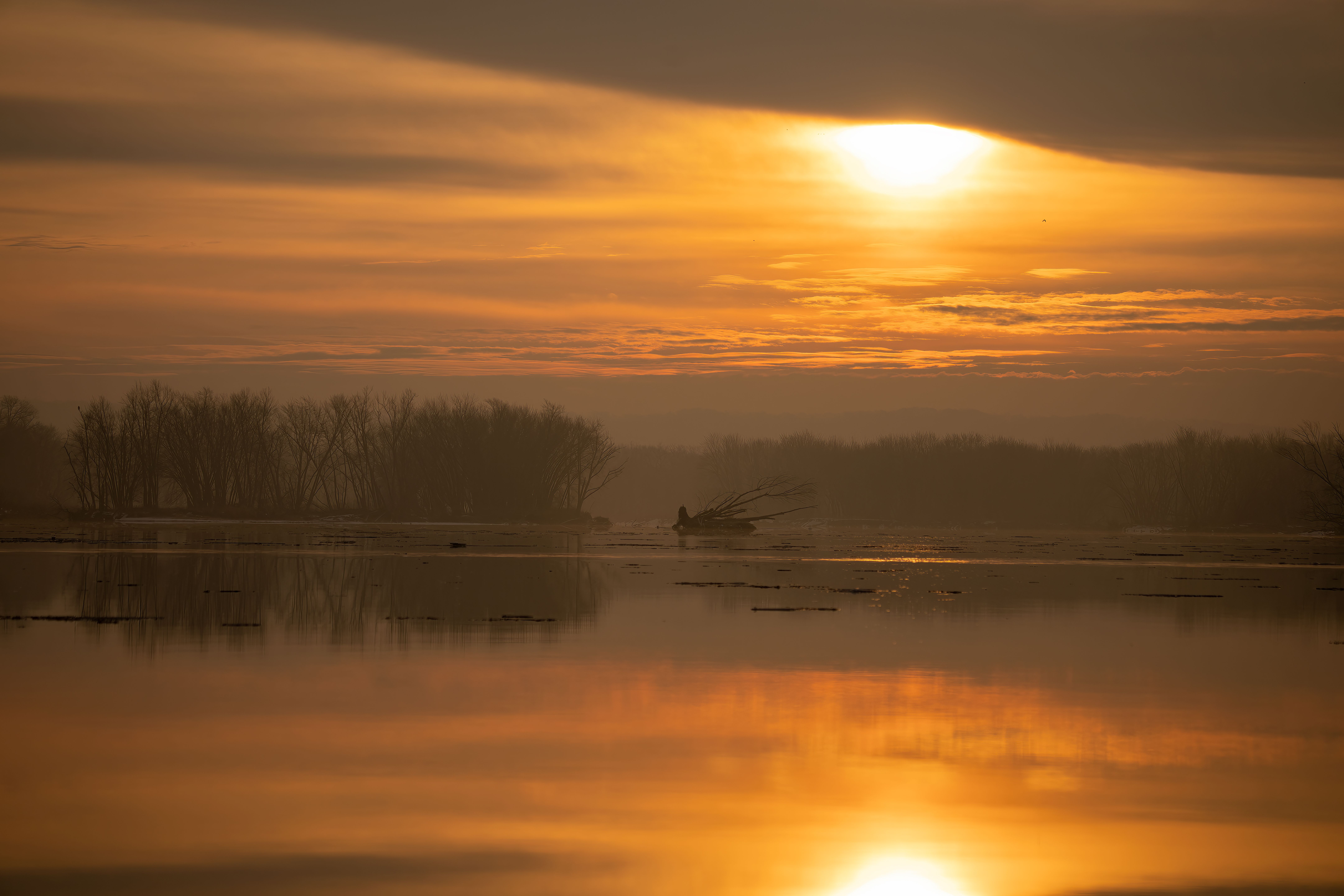 Sunset over the Lake · Free Stock Photo