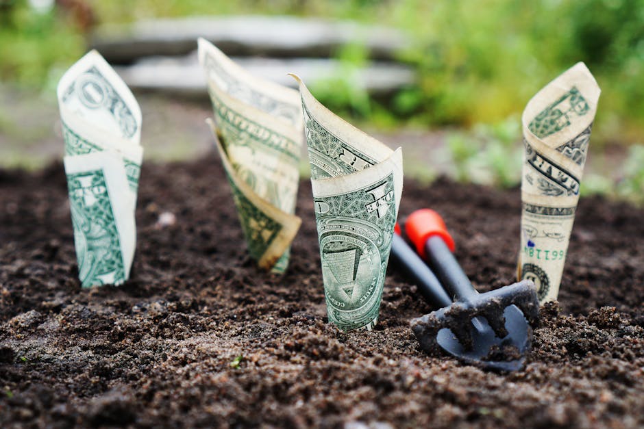 U.s Dollar Bills Pin Down on the Ground