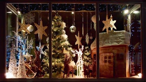 무료 크리스마스 샵 창의 무료 스톡 사진