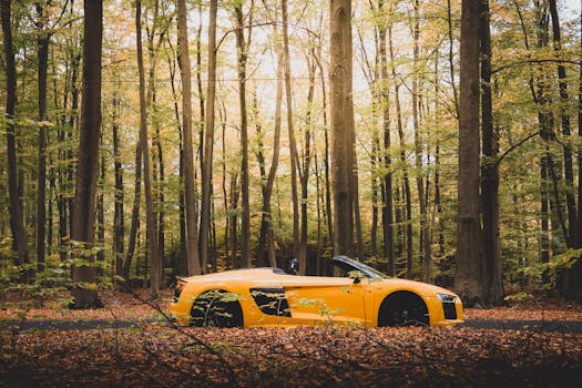 A sleek yellow sportscar parked amidst tall trees in a serene forest setting, showcasing modern design.