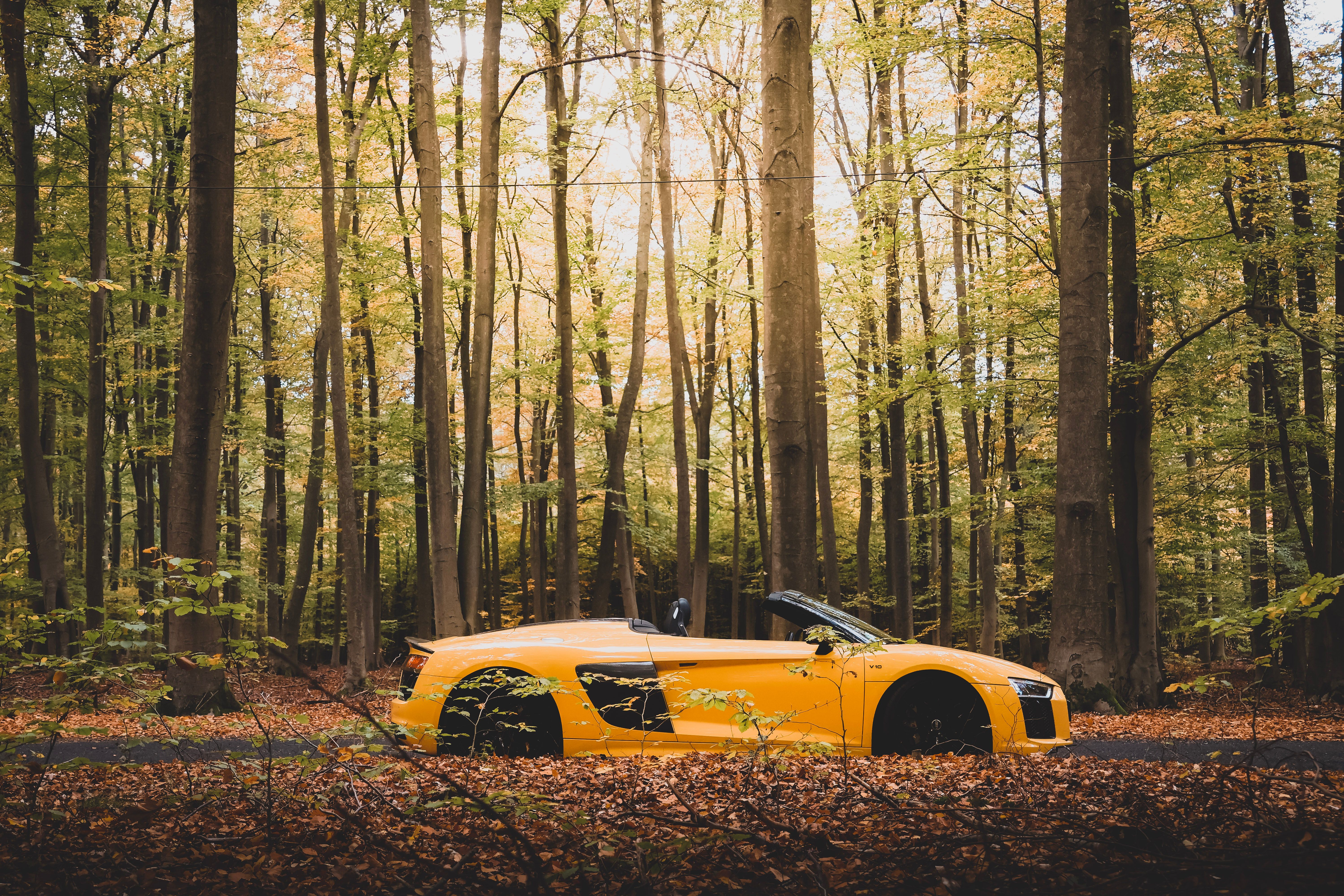 A Yellow Audi R8 in the Forest · Free Stock Photo