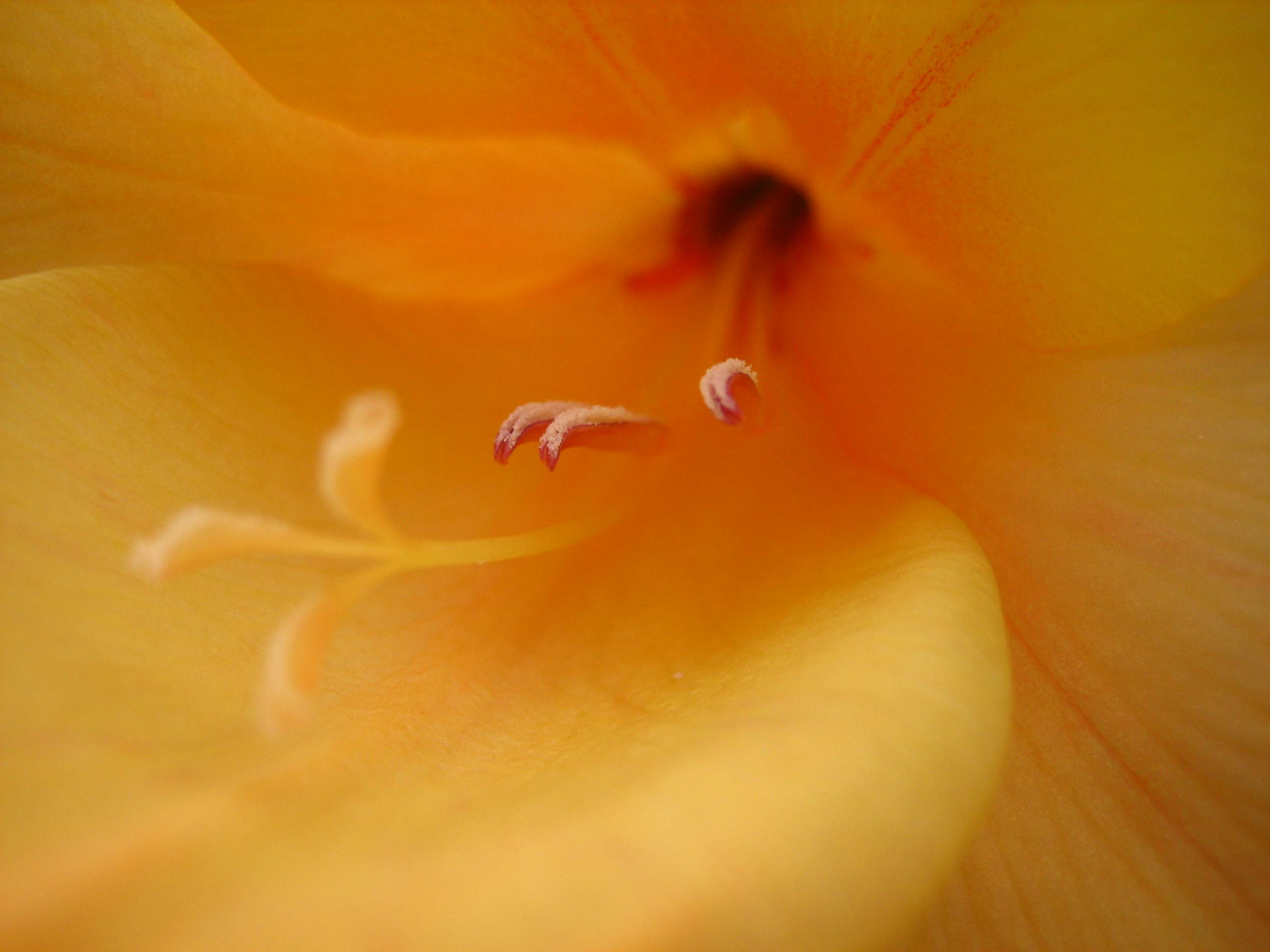 زيارة بحيرة زيورخ