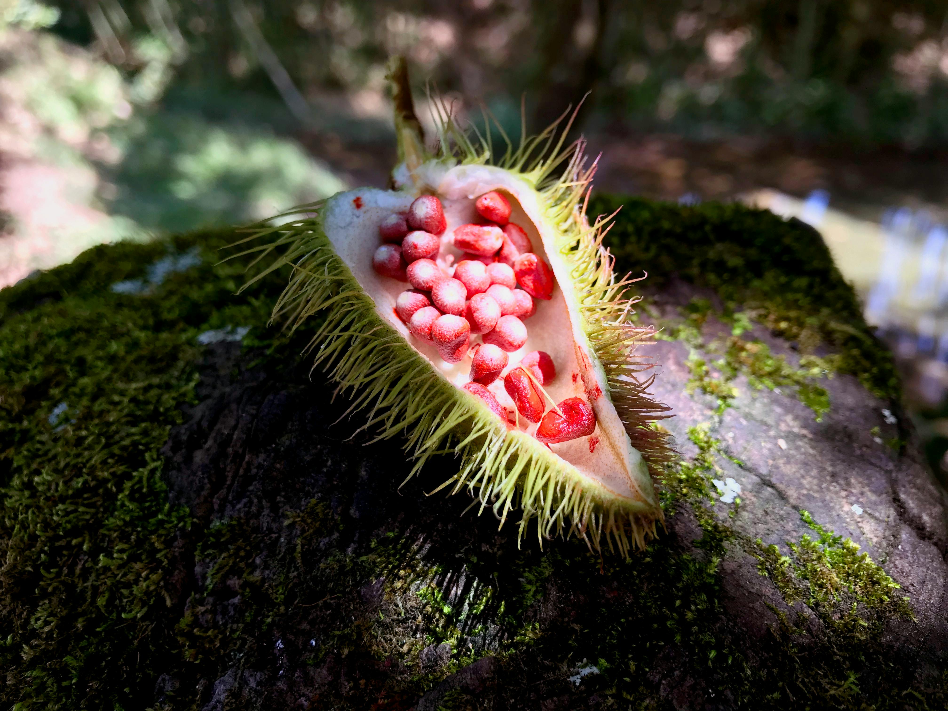 التوجه إلى إنترلاكن