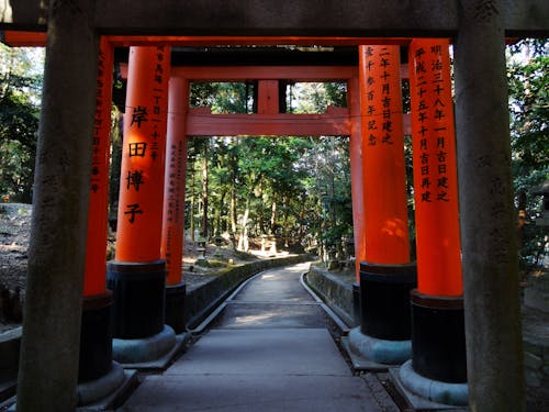 Fotobanka s bezplatnými fotkami na tému chodník, chrám, fushimi inari svätyne