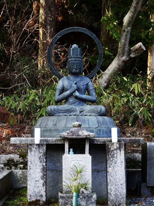 Photos gratuites de bouddha, forêt, jardin