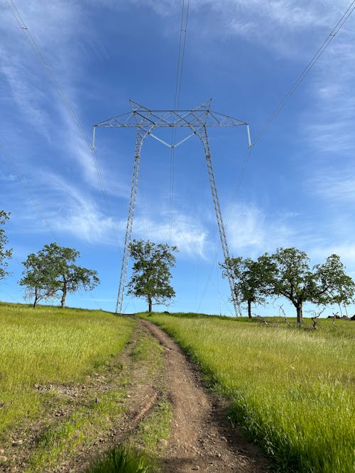 Free Electricity Lines in Countryside Stock Photo