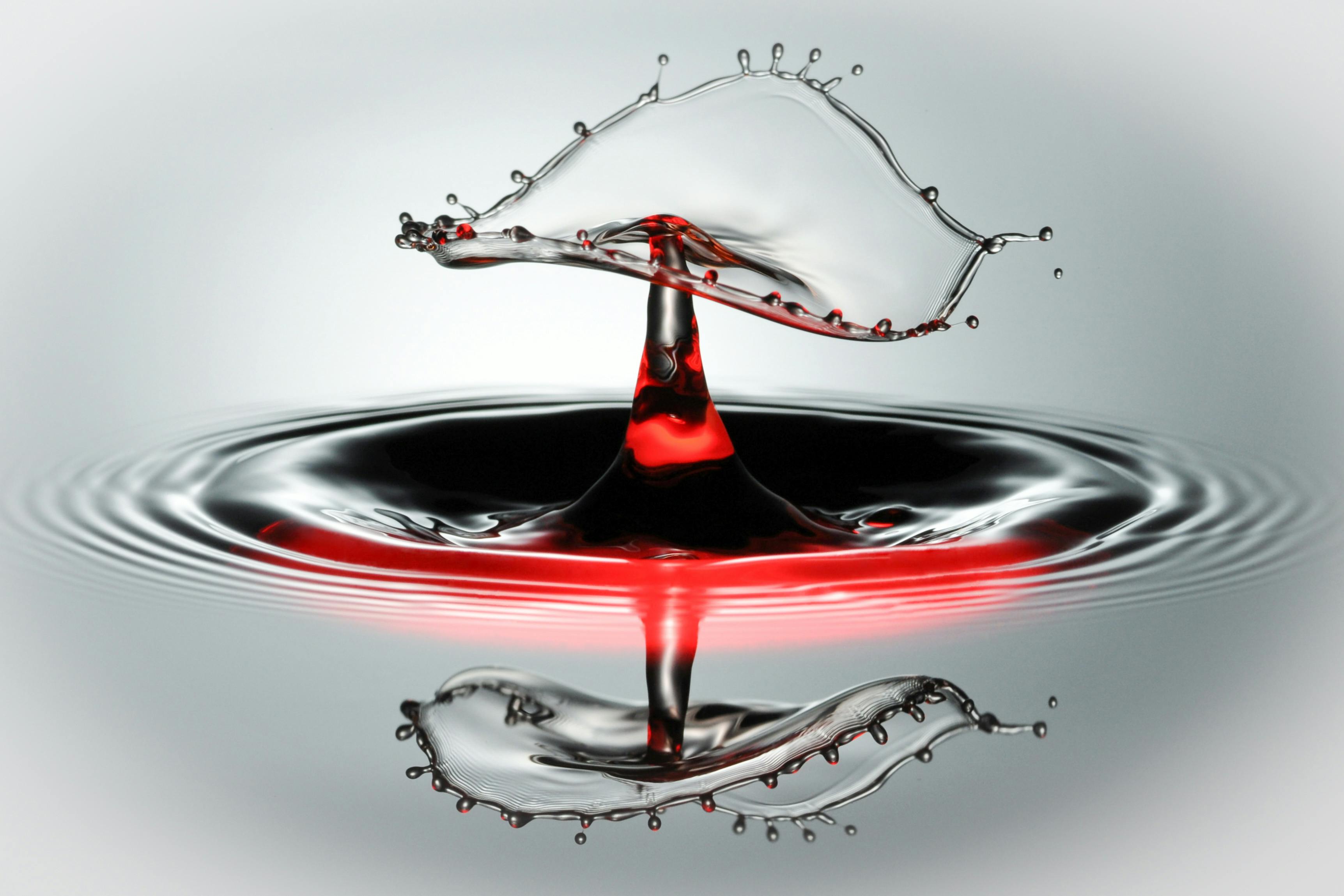 Wolfgang Weiser Fotografie