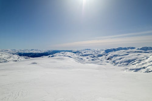 Winter landscape