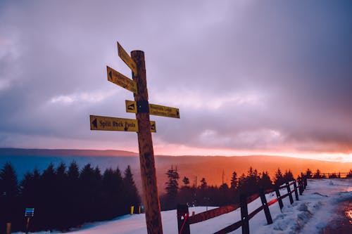 Signage on Road Filled With Snow