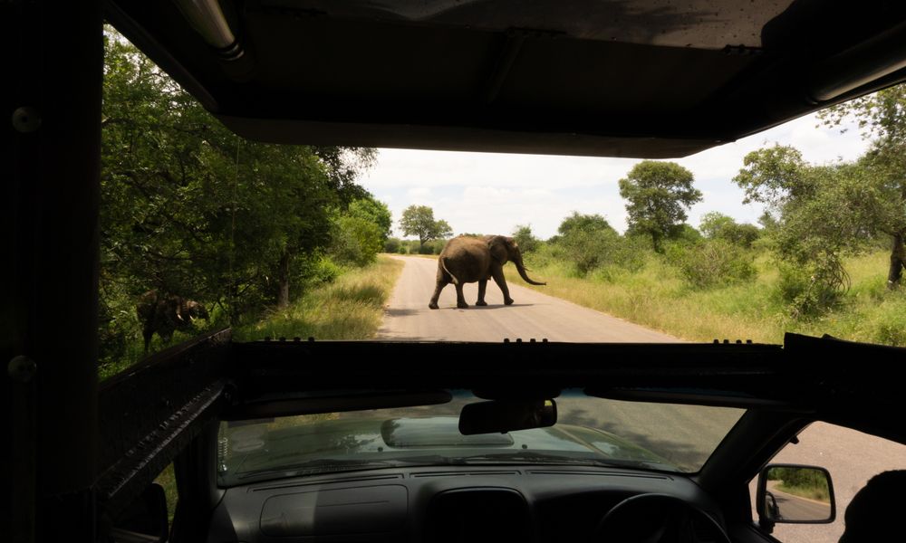 kruger national park safari vehicle